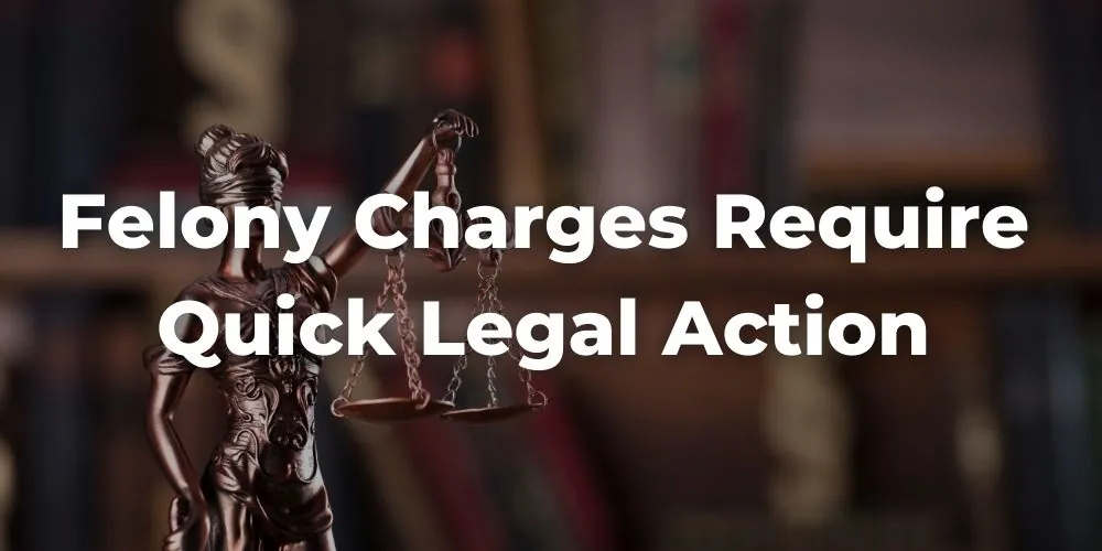 Why Felony Shoplifting Charges Require Quick Legal Action