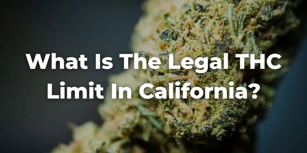 What Is the Legal THC Limit in California?