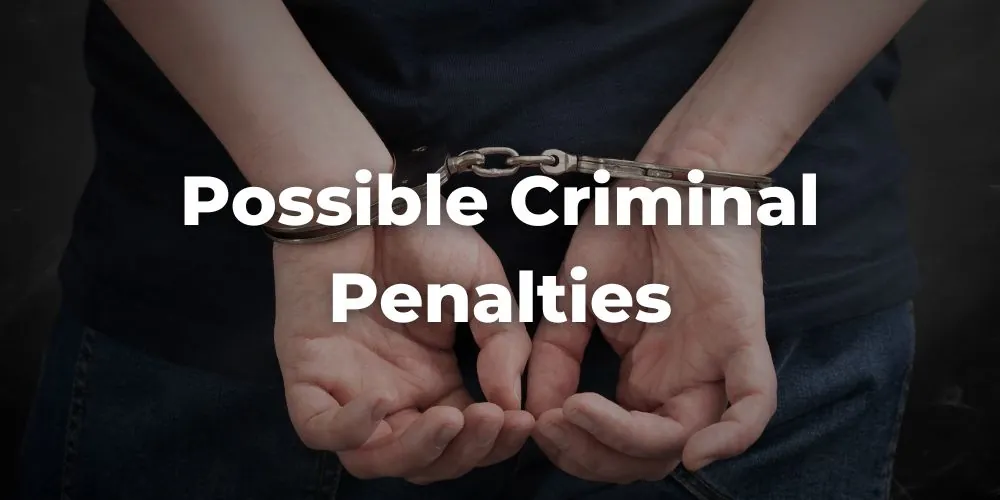 Possible Criminal Penalties