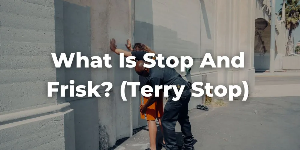 What Is Stop and Frisk? (Terry Stop)